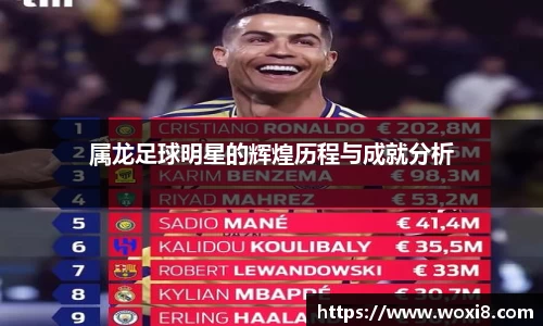 必一运动bsports官方网站