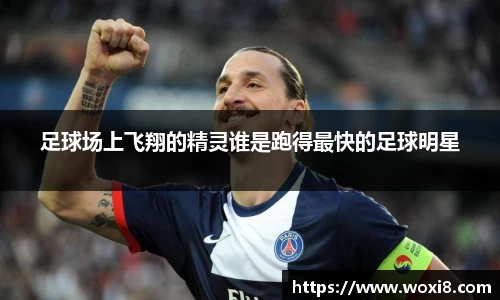 bsports必一体育