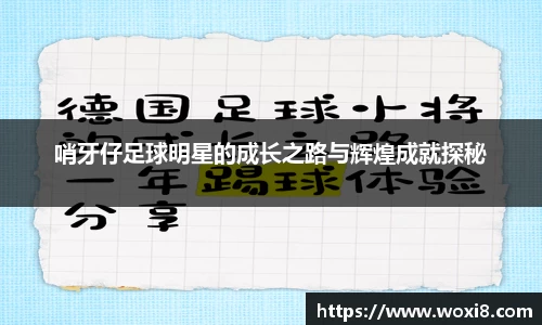 bsports必一体育