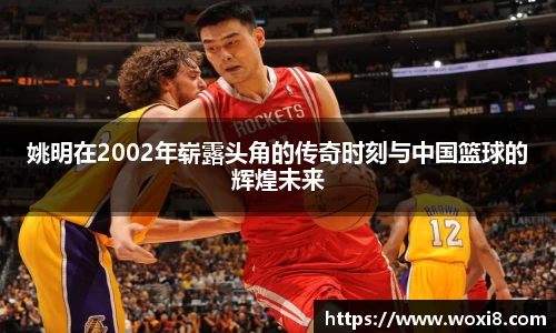 姚明在2002年崭露头角的传奇时刻与中国篮球的辉煌未来