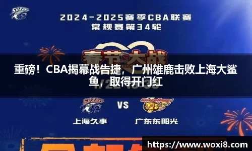 bsports必一体育