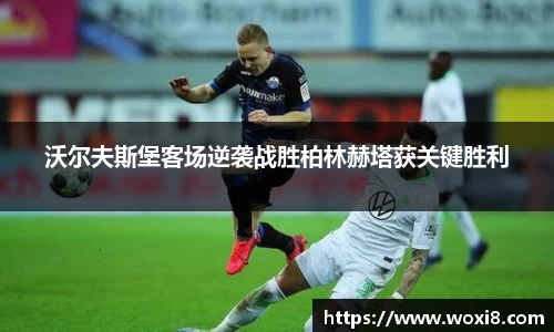 bsports必一体育