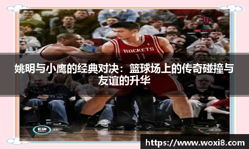 bsports必一体育