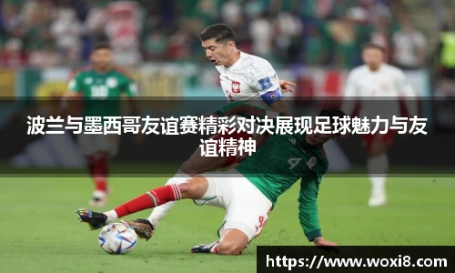 bsports必一体育