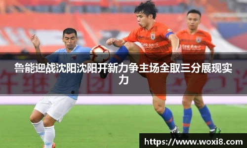 鲁能迎战沈阳沈阳开新力争主场全取三分展现实力